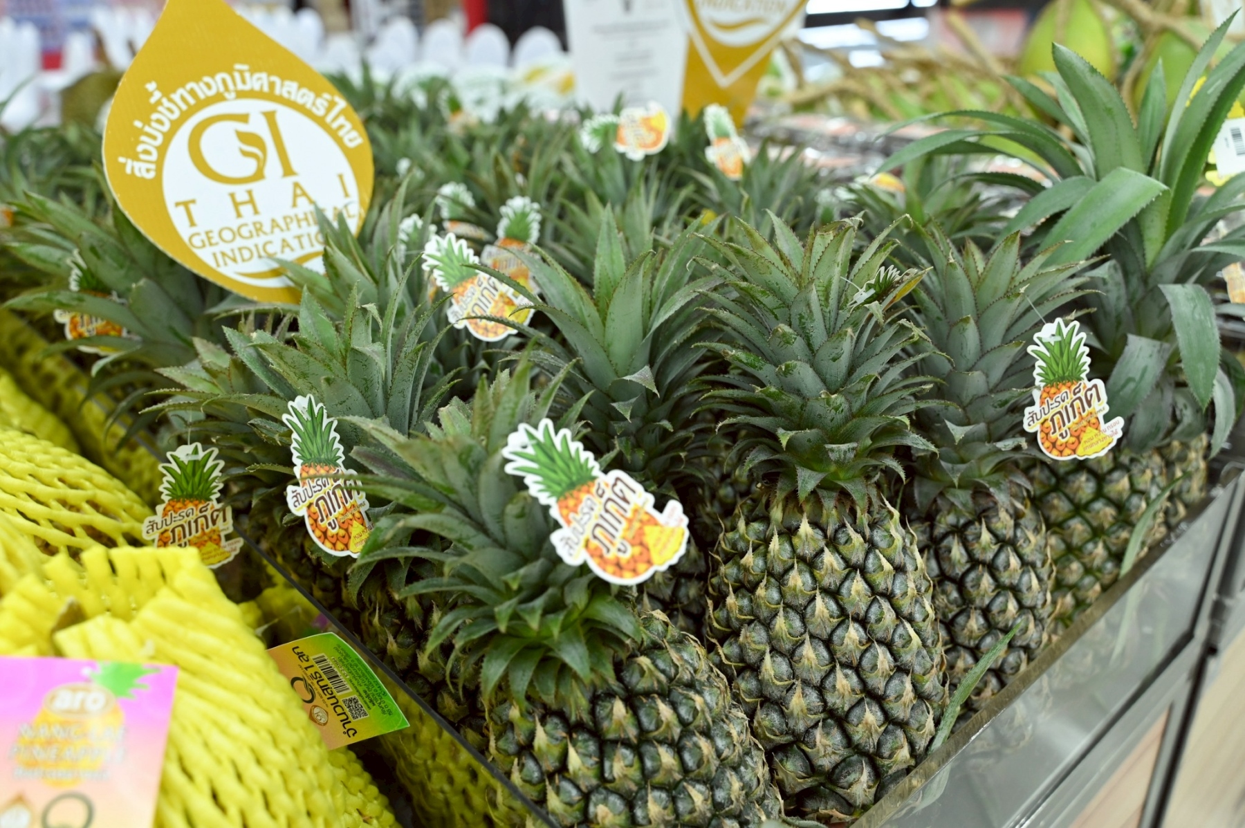 แม็คโคร–โลตัส คัดของไหว้ตรุษจีนคุณภาพจากเกษตรกรไทย ส่งต่อคุณค่าจากต้นทาง